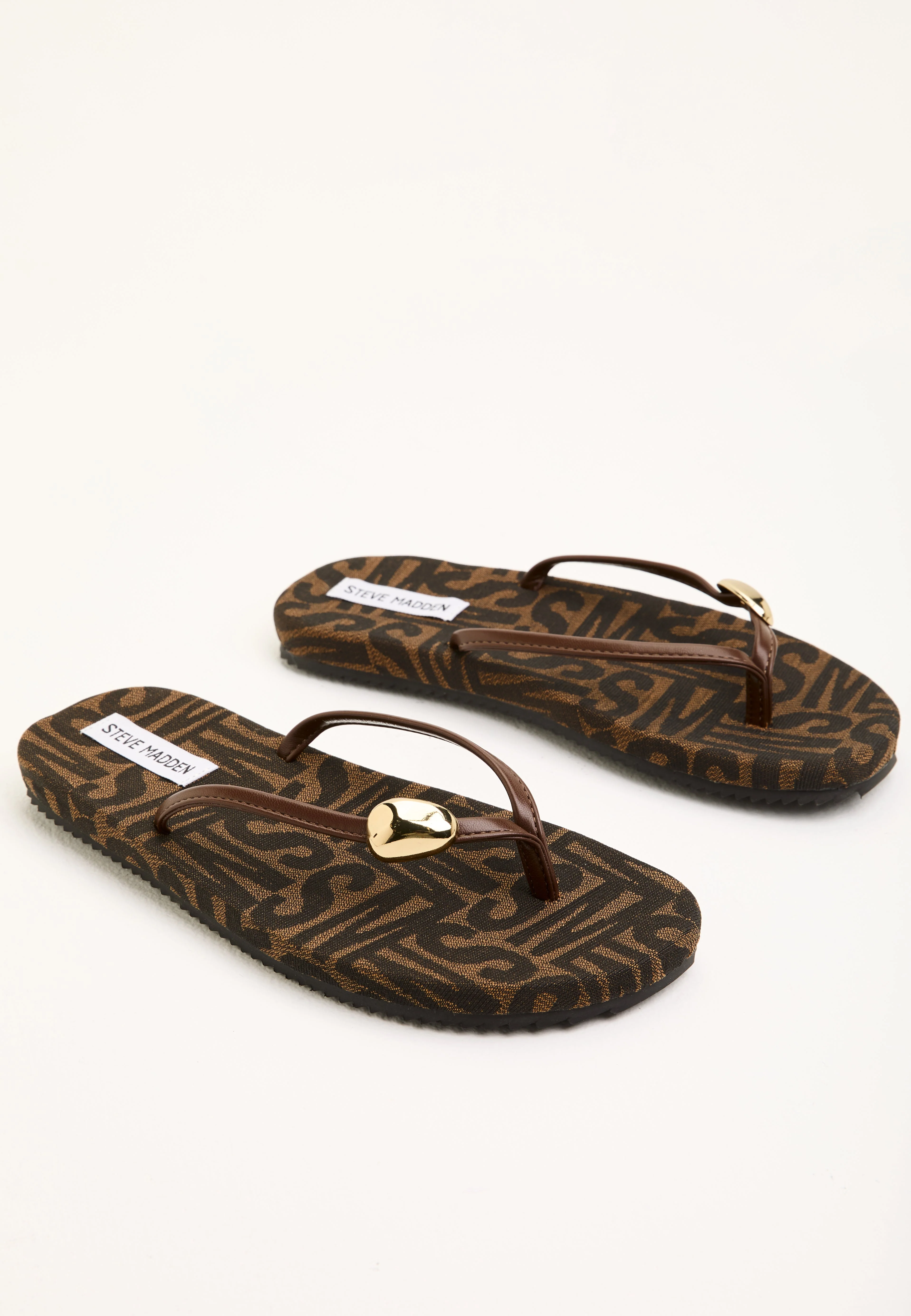 Surfup - Image 4