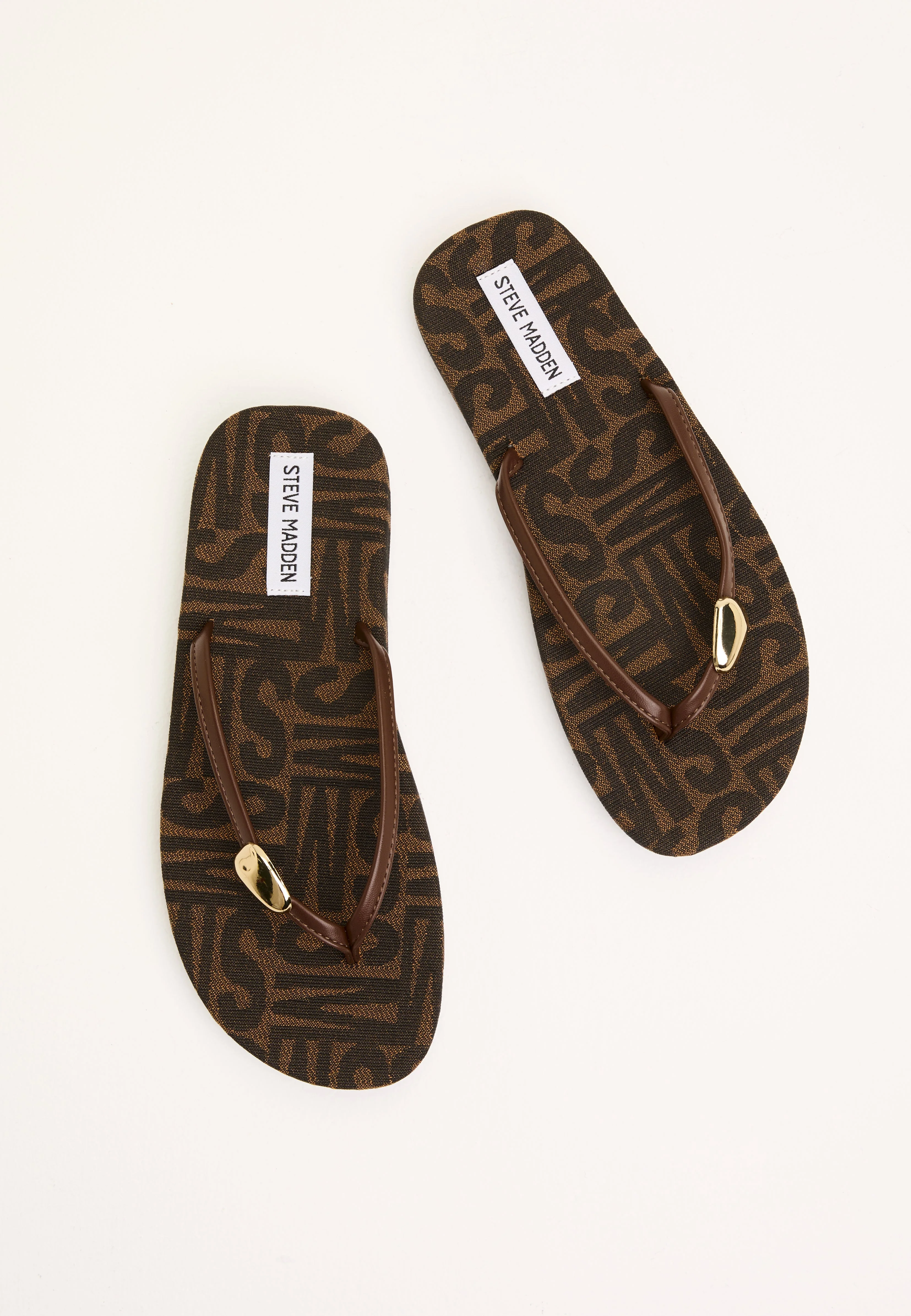 Surfup - Image 5