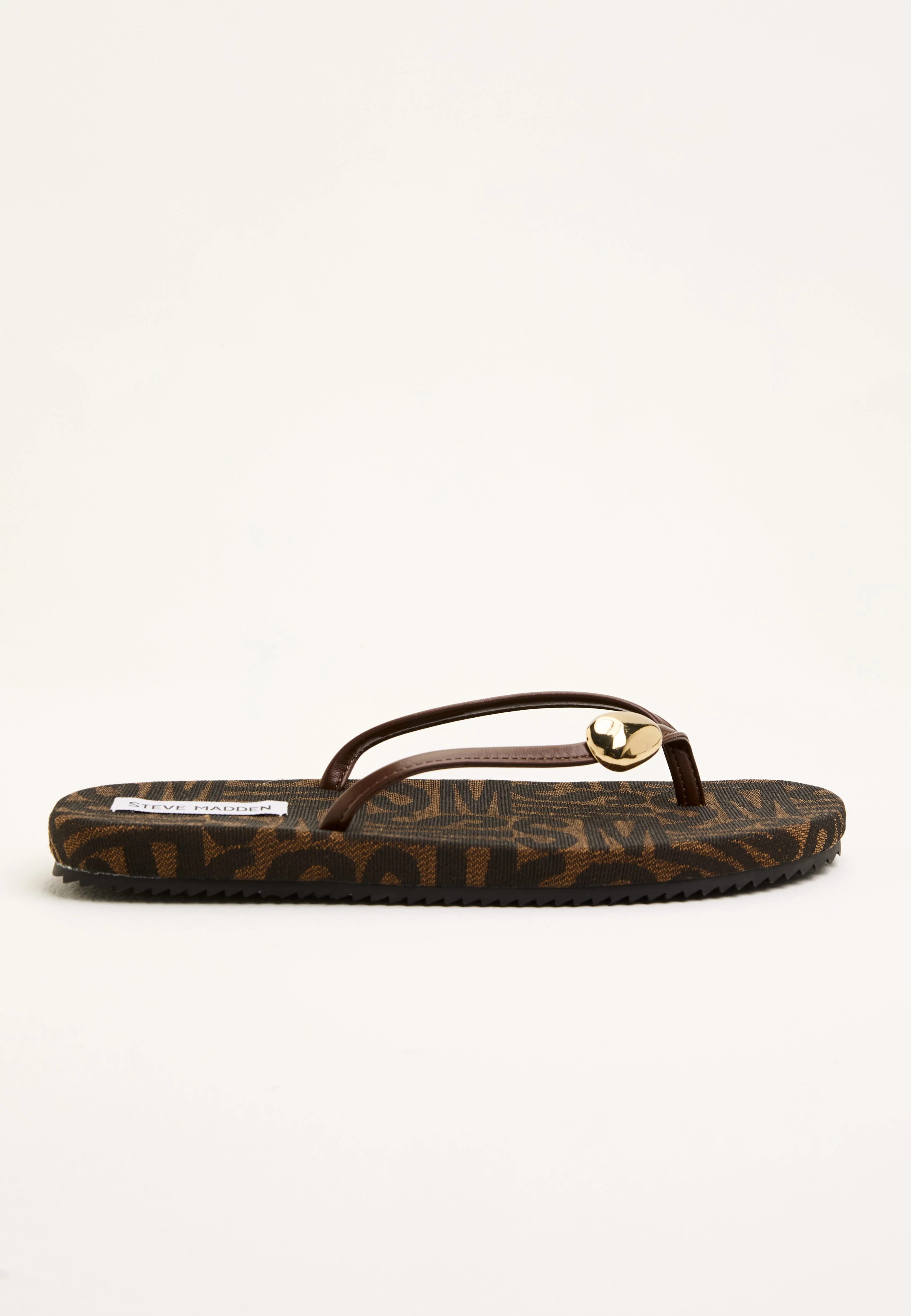 Surfup - Image 8